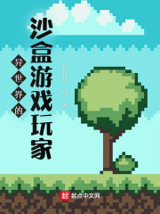 Игрок песочницы из другого мира